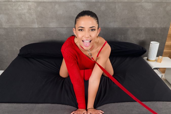 Nuria Millan in doggystyle with creampie in kinky VR ride photo 1